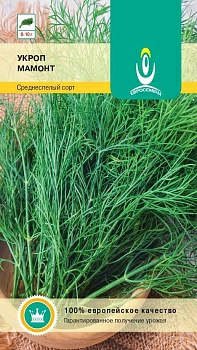 Укроп Мамонт 2,0г среднеспелый (Германия)