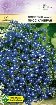 Лобелия эринус, Мисс Клибран 0.05г (Беларусь)