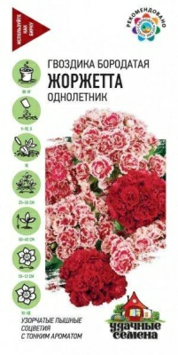 Гвоздика бородатая турецкая Жоржетта махровая смесь 0,1г (Россия)