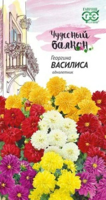 Георгина Василиса 0,3г серия Чудесный балкон DH (Россия)