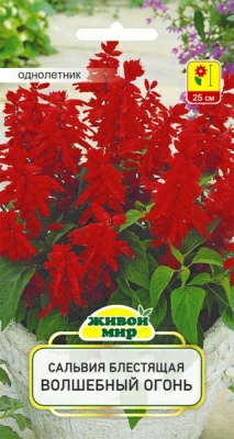 Сaльвия блecтящaя Boлшeбный oгoнь W. Legutko 0,2 г (Россия)