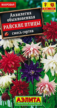 Аквилегия Райские птицы смесь семена (Нидерланды)