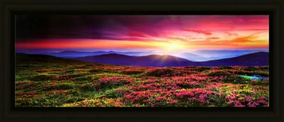 Репродукция 50/140 (1) мдф ш 8С1550 (Беларусь)