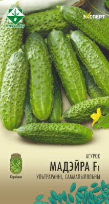 Огурец Мадейра F1 корнишон Эксперт (Беларусь)