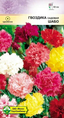Гвоздика садовая Шабо см 0.15г (Беларусь)