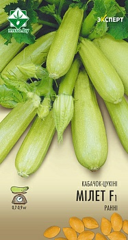 Кабачок Милет F1 Эксперт (Нидерланды)