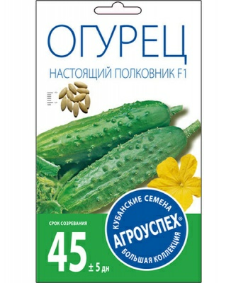 Огурец НАСТОЯЩИЙ ПОЛКОВНИК F1 ранний 10 шт (Россия)