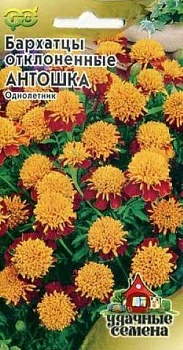 Бархатцы отклоненные Антошка Тагетес 0,3г (Россия)
