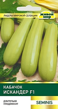 Кабачок Искандер F1 Seminis (Беларусь)