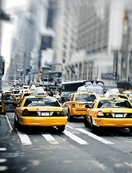 Панно Трафик Джем (028) 2 листа на флизелиновой основе 206*270см (Беларусь)