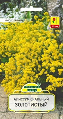 Алиссум скальный Золотистый W. Legutko 0,3 г (Беларусь)