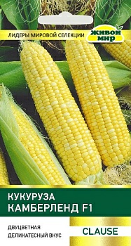 Кукуруза Камберленд F1 Clause (Беларусь)