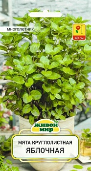 Мята душистая Яблочная (W. Legutko) 0.1г (Беларусь)
