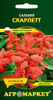 Сальвия Скарлетт, 0.1 г (Польша)