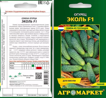 Огурец Эколь F1 7 шт (Польша)