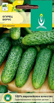 Огурец Борус F1 среднеранний пчелоопыляемый (Россия)