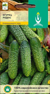 Огурец Родос (Россия)