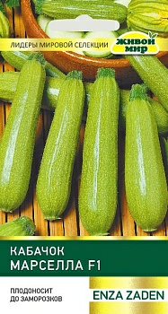 Кабачок Марселла F1 Enza Zaden (Беларусь)