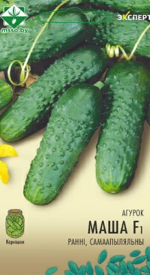 Огурец Маша F1 Эксперт (Нидерланды)