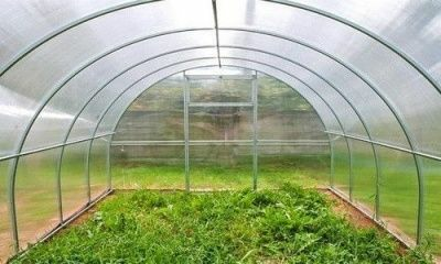 Каркас теплица Садовод Элит ОТ  20*20 0,67 (4*3*2м) 0,6мм (Беларусь) 