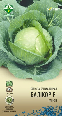 Капуста б/к Боликор F1 Эксперт (Беларусь)