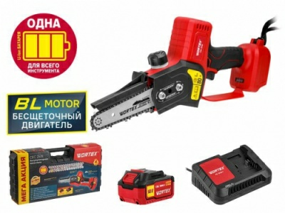 Аккумуляторная мини-пила WORTEX CEC 2518 ALL1 с аккумулятором и зарядным устройством (Китай)