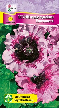 Петуния гибрид превосходнейшая Елизавета 7шт (Австрия)