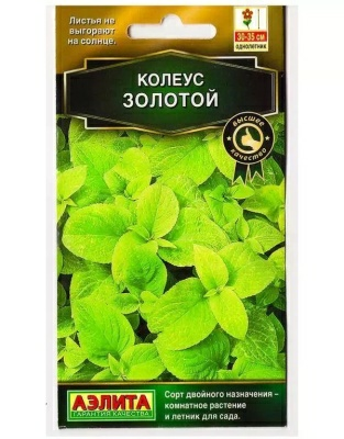 Колеус блюме Золотой семена (Россия)