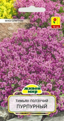 Тимьян ползучий Пурпурный W. Legutko 0,1 г (Беларусь)