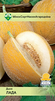 Дыня Лада (Россия)