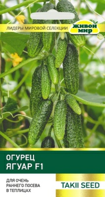 Огурец Ягуар F1 Takii seed (Беларусь)