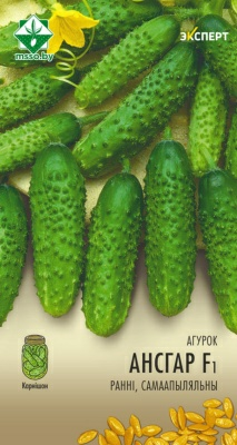 Огурец Ансгар F1 (Нидерланды)
