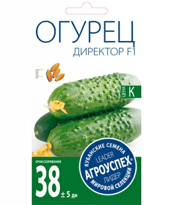 Огурец  ДИРЕКТОР F1 ранний парт 7шт (Россия)