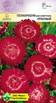Гелихризум прицветковый Красный 0.2г (Германия)