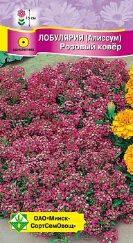 Лобулярия морская Розовый ковер 0.2г (Беларусь)