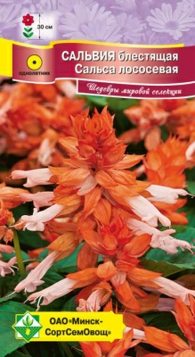 Сальвия блестящая Сальса лососевая 10шт (Чехия)