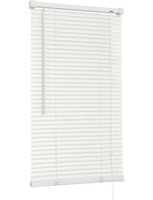 Жалюзи ПВХ DELFA NO.RF-M-009 белый 100/160 (Беларусь)