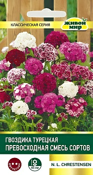 Гвоздика турецкая Превосходная махровая смесь N.L.Chrestensen 0,3г (Беларусь)