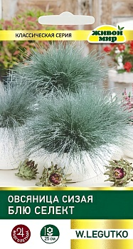 Овсяница сизая Блю селект W. Legutko 0,2 г (Беларусь)