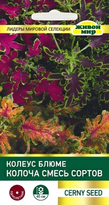 Колеус блюме Колоча cмесь Cerny seed (Беларусь)