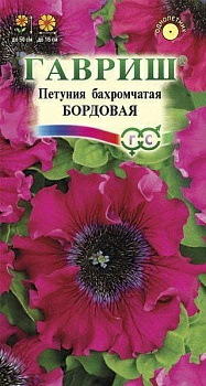 Петуния Бордовая бахромчатая пробирка (Россия)