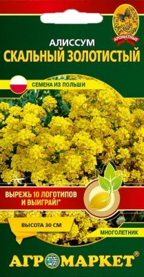 Алиссум скальный золотистый 0,2г (Австрия)