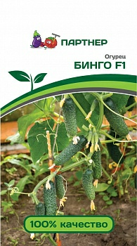 Огурец Бинго F1 (5шт) (Россия)