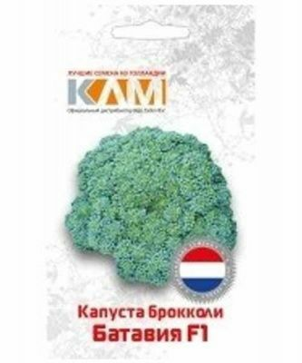 Капуста брокколи Батавия 10шт (Hидepлaнды)