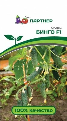 Огурец Бинго F1 (5шт) (Россия)