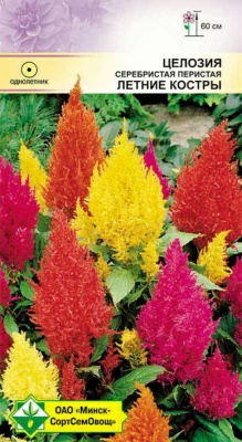 Целозия перистая Летние костры см 0.2г (Польша)