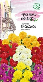 Георгина Василиса 0,3г серия Чудесный балкон DH (Россия)
