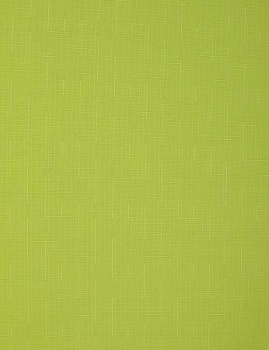 Штора рулонная 61(57)*160 СРШ-01МЭ-2653 (Беларусь)