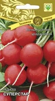 Редис Суперстар 2г (Беларусь)