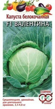 Капуста белокочанная Валентина F1 для хранения (Россия)